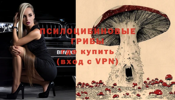 сатива Михайловка