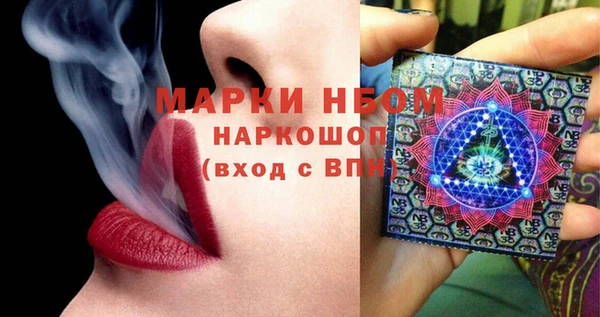 сатива Михайловка
