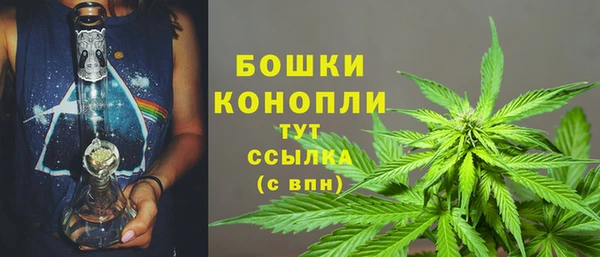спайс Михайлов