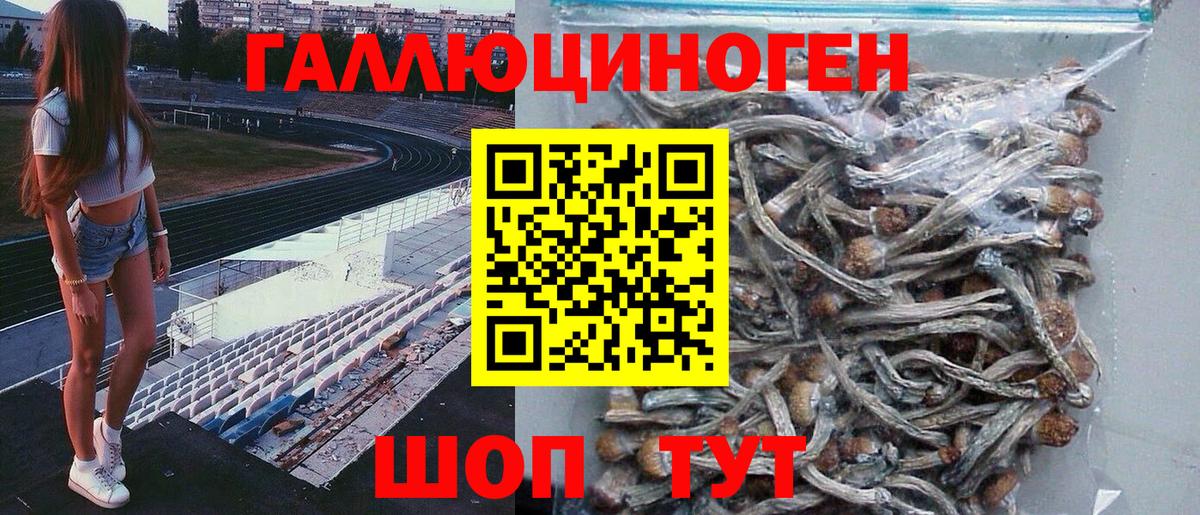 Галлюциногенные грибы ЛСД  наркота  Воткинск  Галлюциногенные грибы Psilocybe 