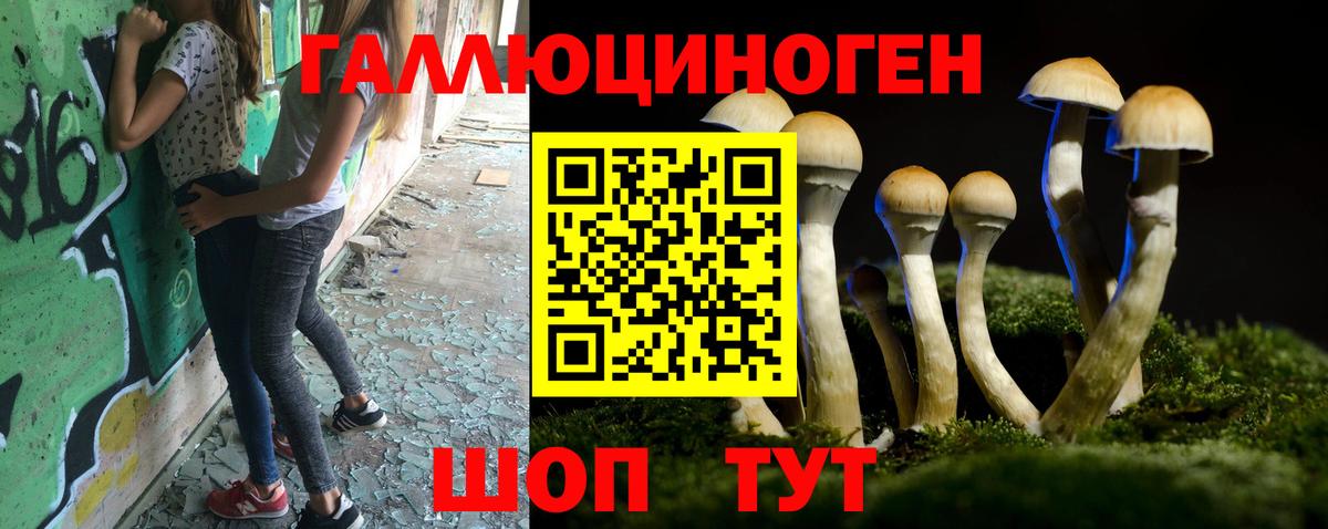где купить наркоту  Вход с VPN  Воткинск  Галлюциногенные грибы Psilocybe 
